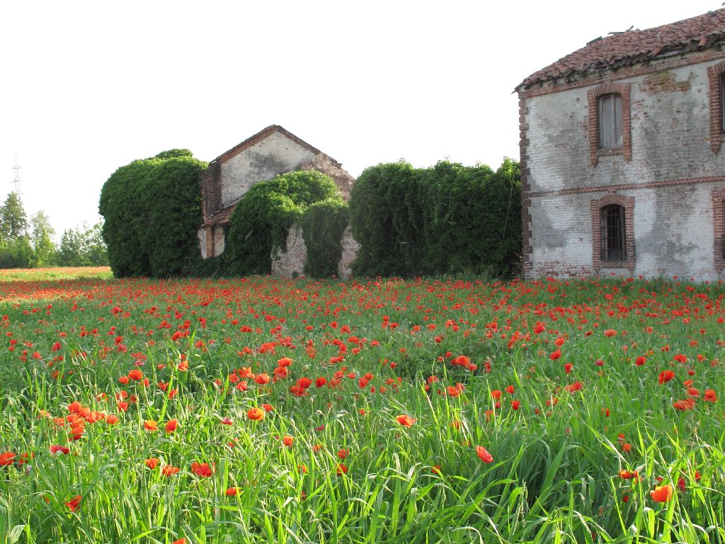 Vecchio cascinale...colori