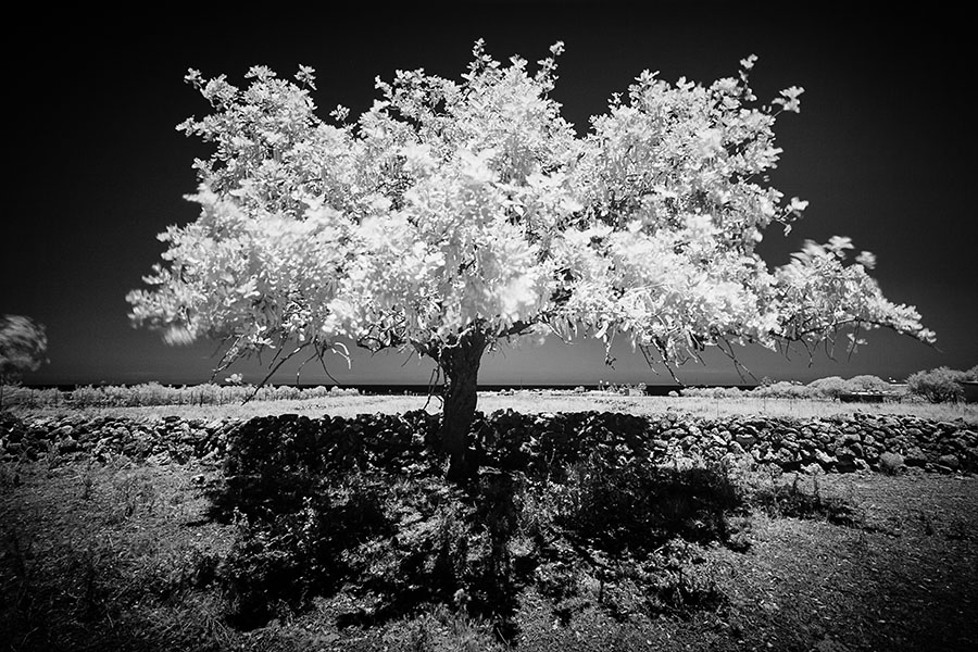 sicily scape ir