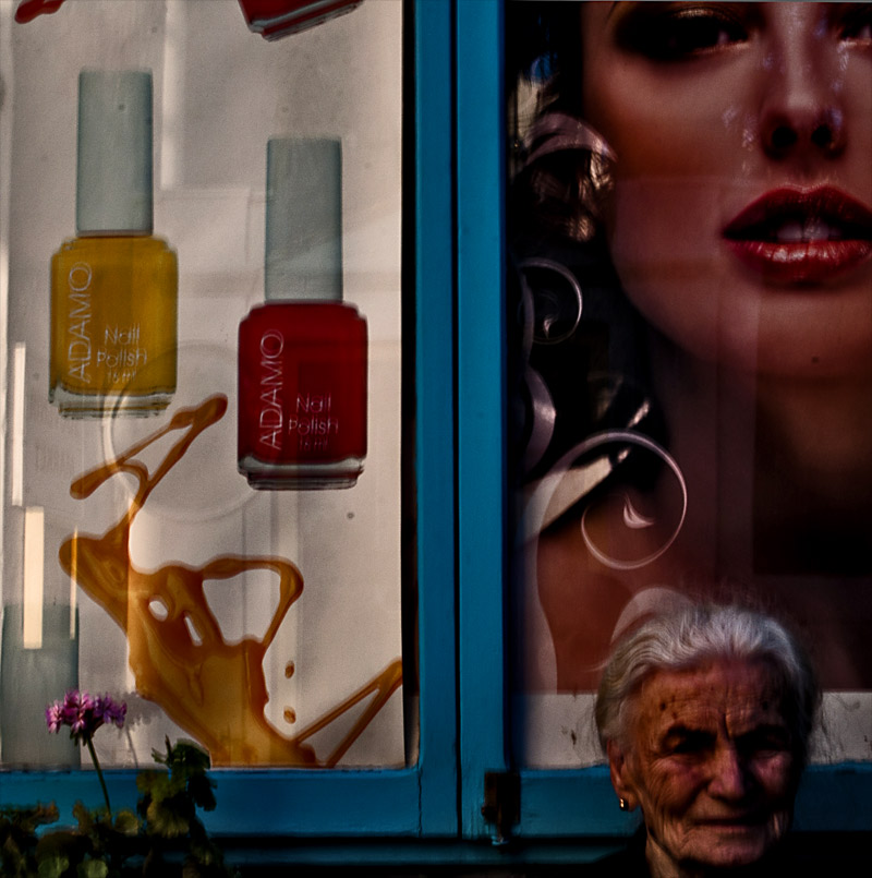 plastic beauty & wise flesh