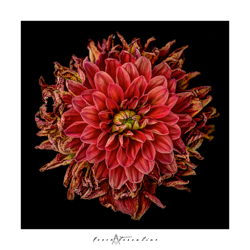 per tutta la vita...