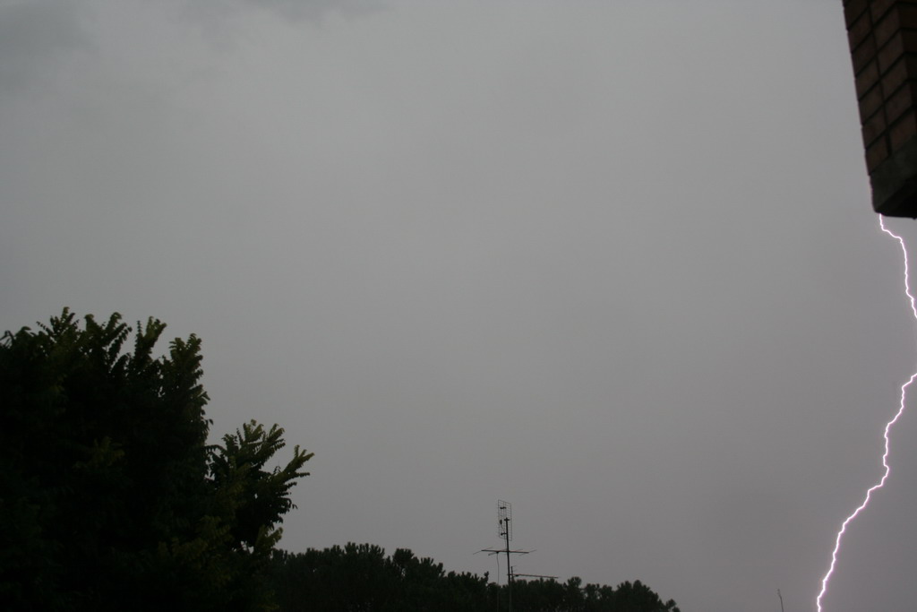 La fortuna del principiante