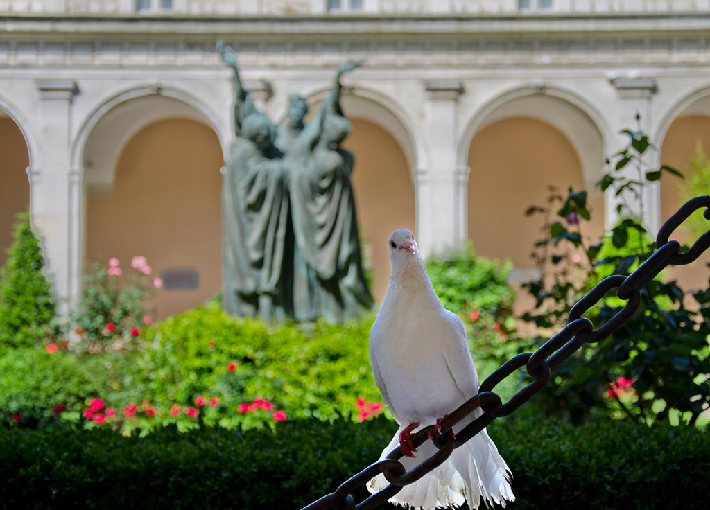 Hey! Ci sono anch'io