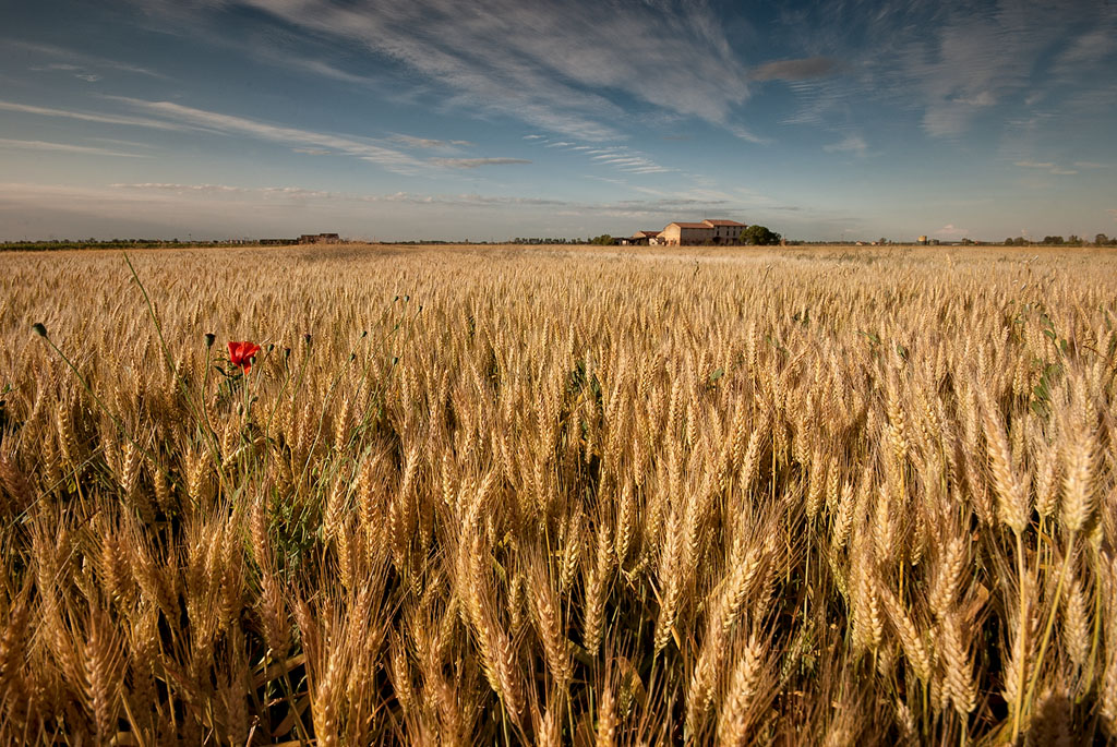 in Pianura Padana non c'� niente da fotografare