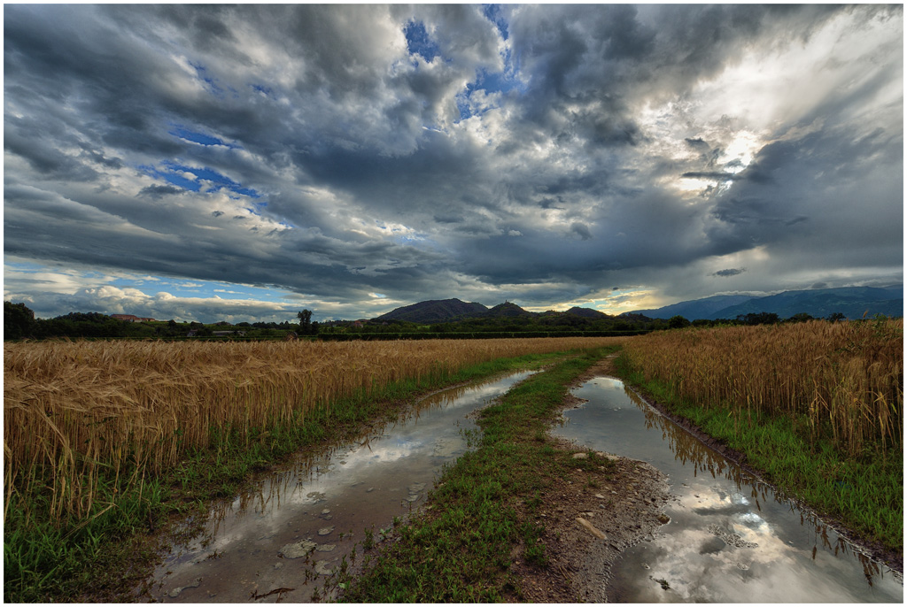 ... dopo la pioggia 2