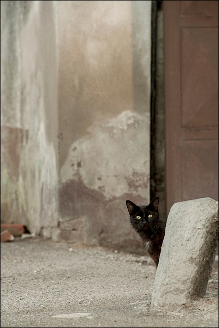 Un nero piccolo incontro..