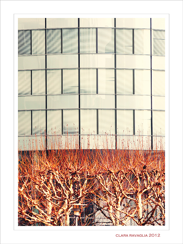 Le chiome... ardenti.