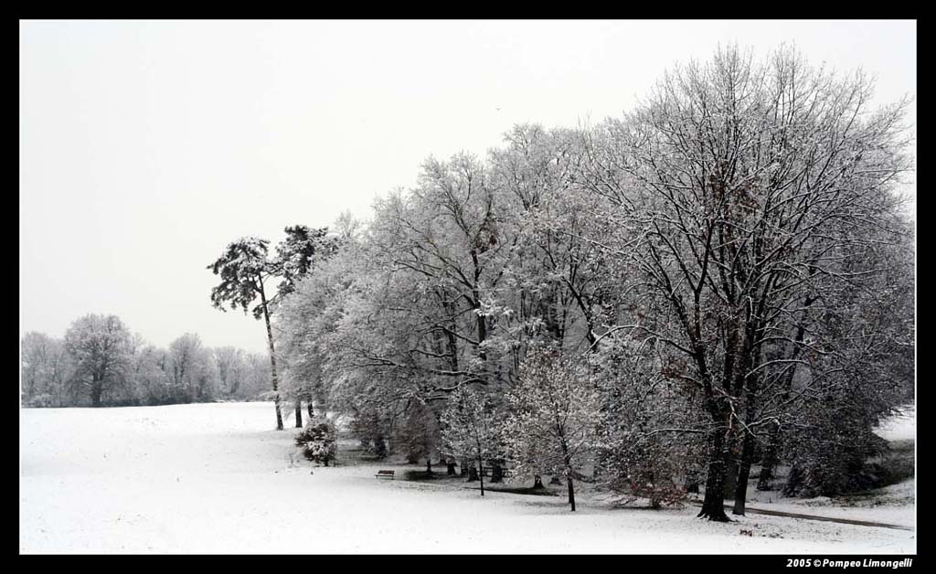 al parco dopo una nevicata