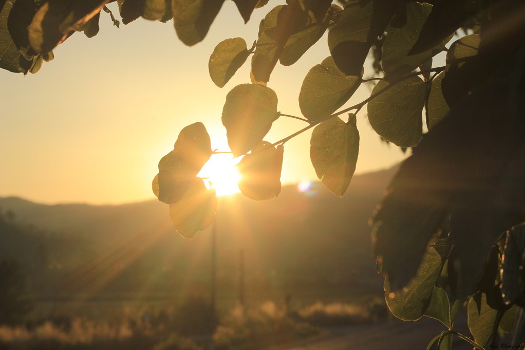 Il sole dentro la natura
