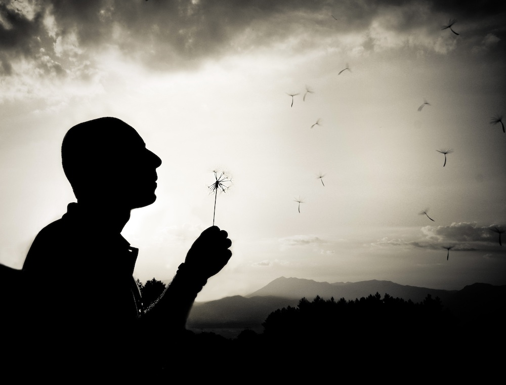 Make a wish