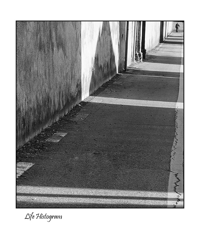 Life histogram