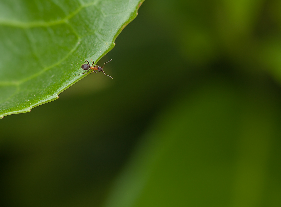 Cosa ci faccio quass�?