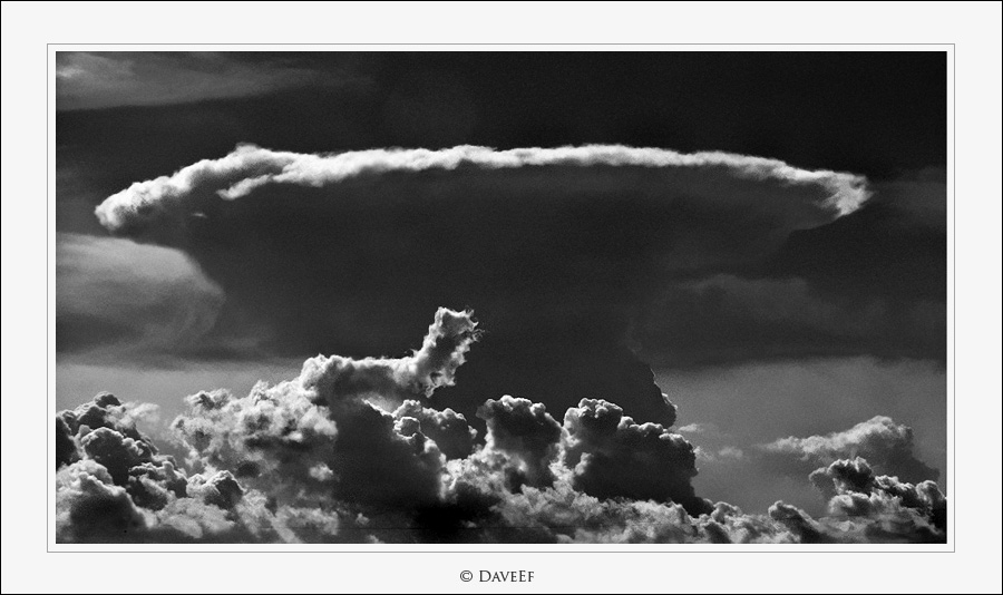 piover�! non so cosa, ma piover�!