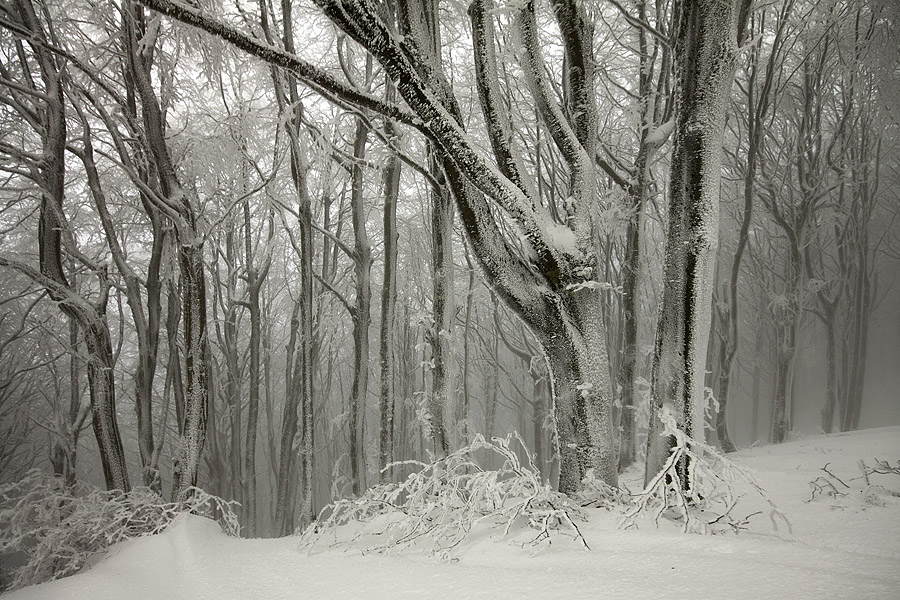 ricami di vento e neve