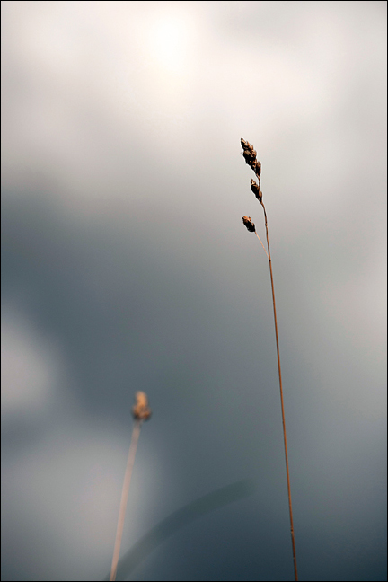 ...tra noi e il cielo...