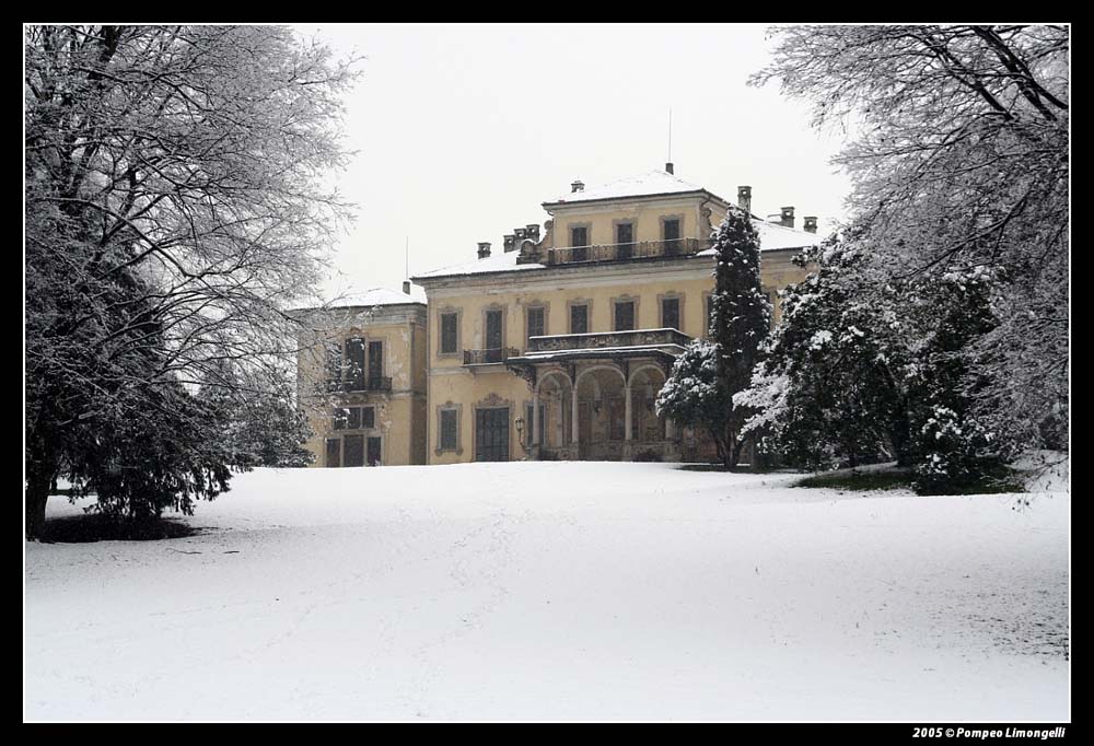 al parco dopo una nevicata 7