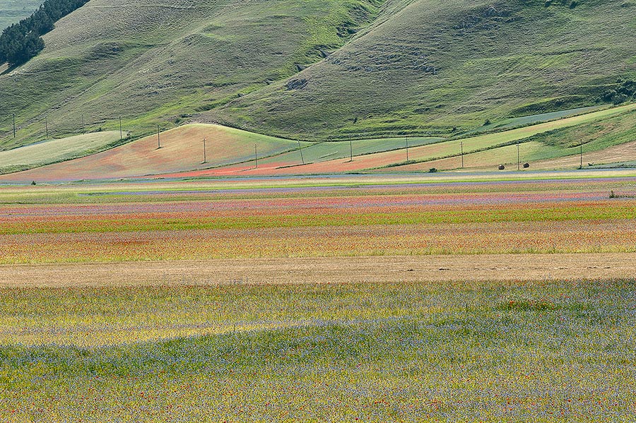 Castelluccio