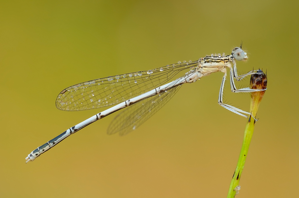 I primi raggi di sole...