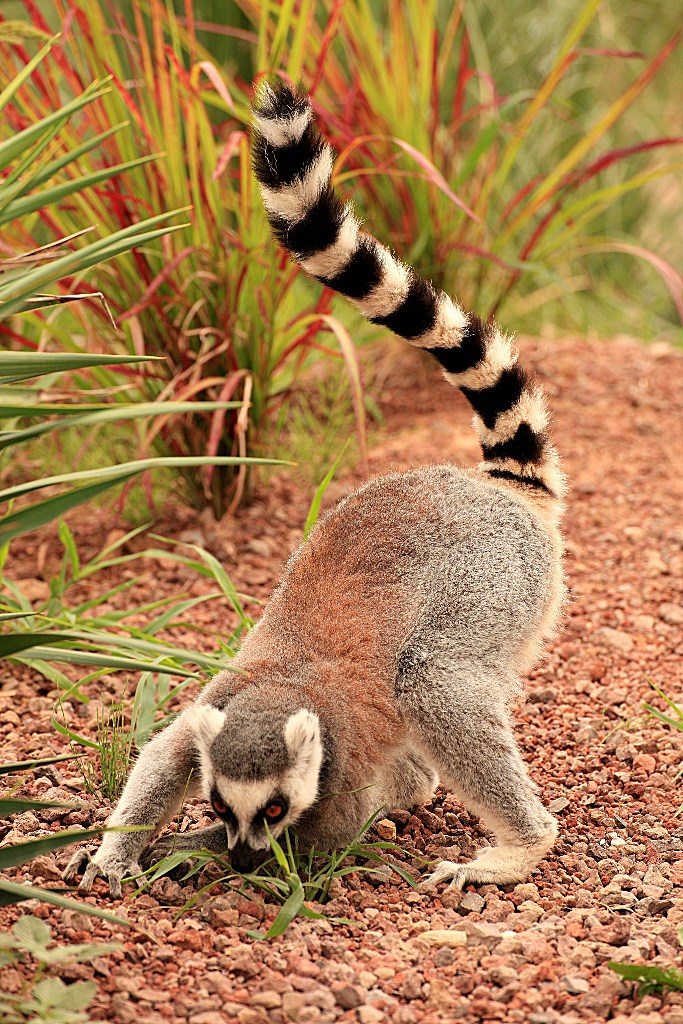 Pronti....partenza.....!