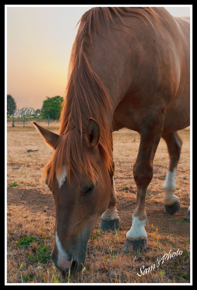 pace... amore... gioia infinita