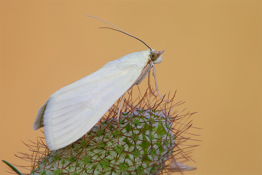 E' Stata Un'Avventura !!!