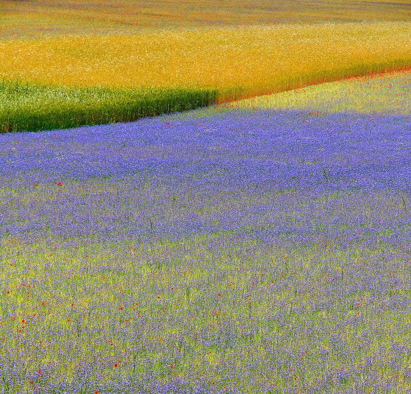 Impressionismo fotografico