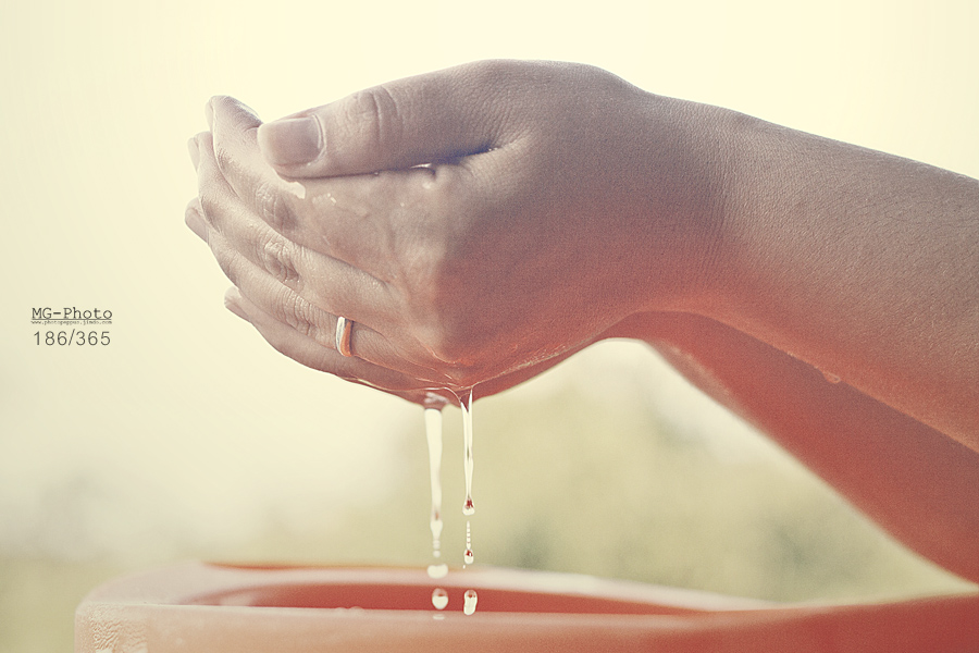 186_365 shot project