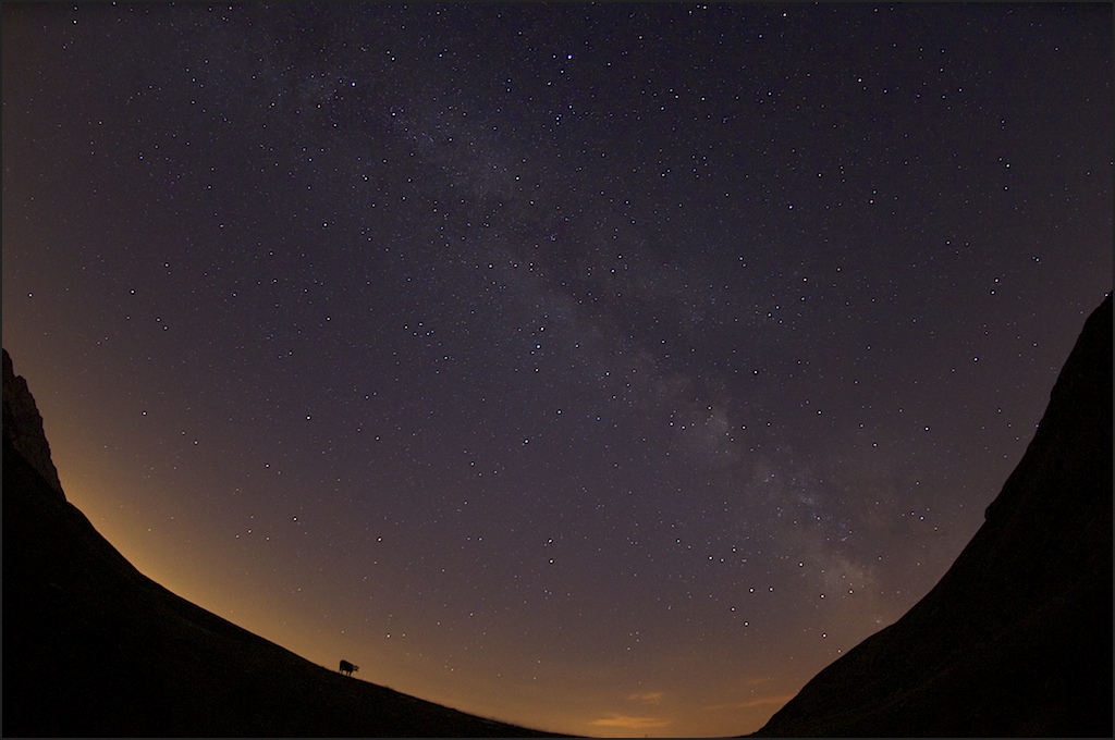 Mucca in the sky.....