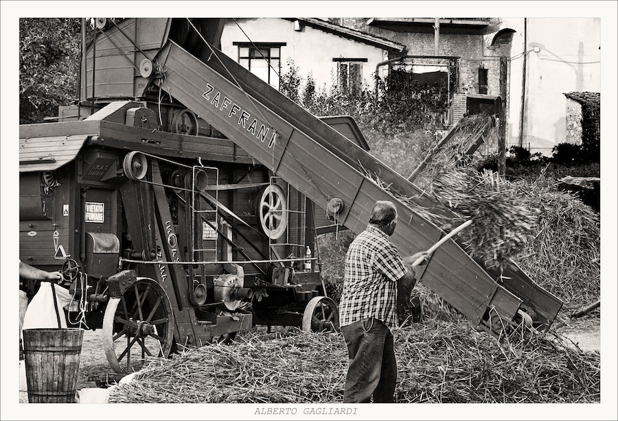 TREBBIATURA DE 'NA VORDA