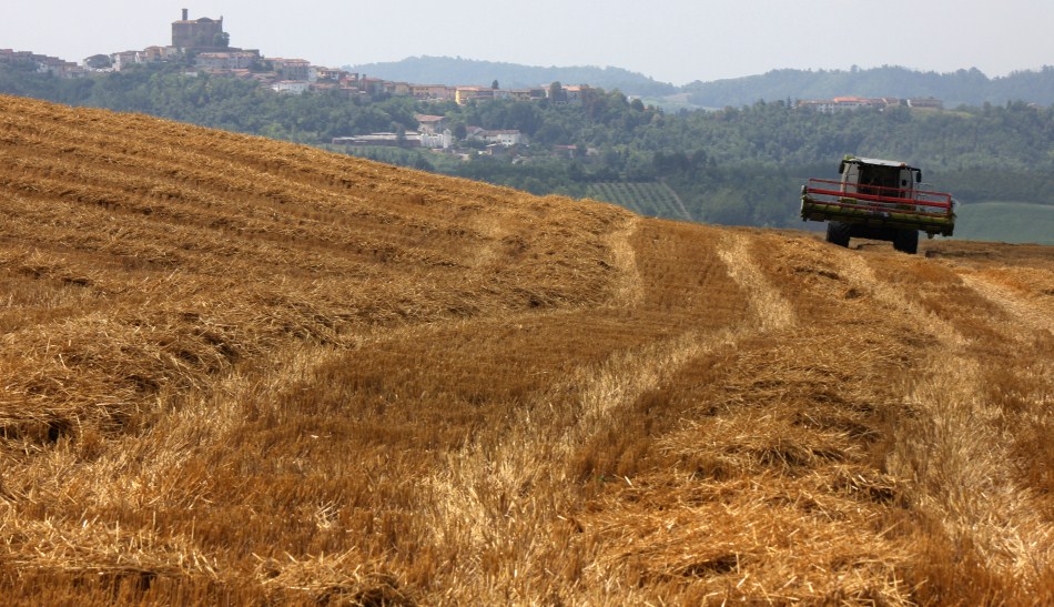 trebbiatura in collina