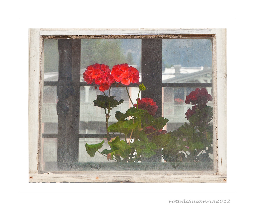 Dialoghi alla finestra 1