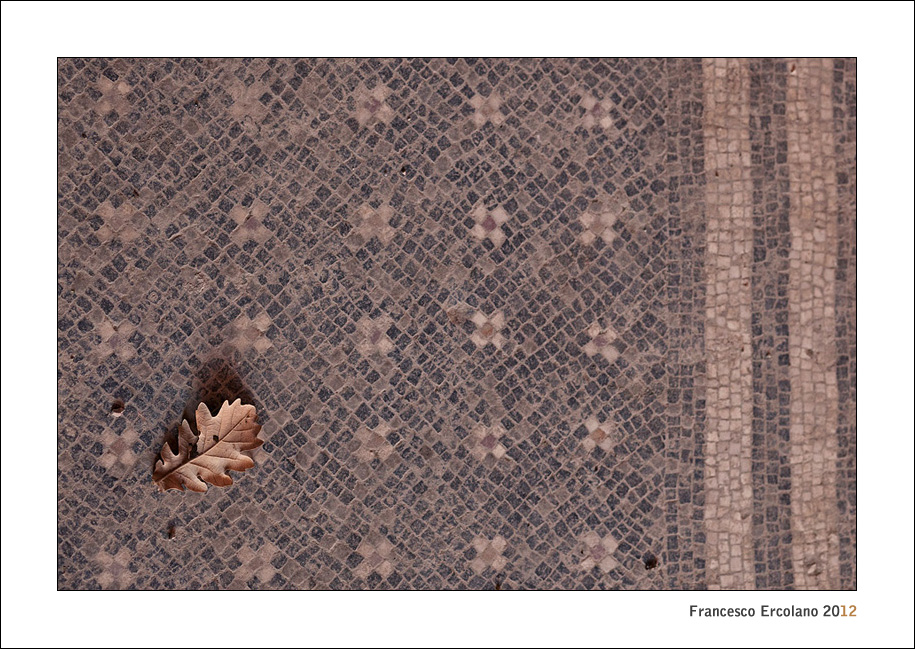 Frammenti di Arianna