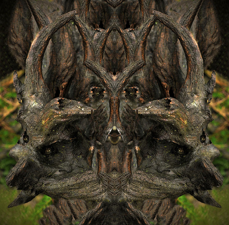 Demoni pareidolie� 2012