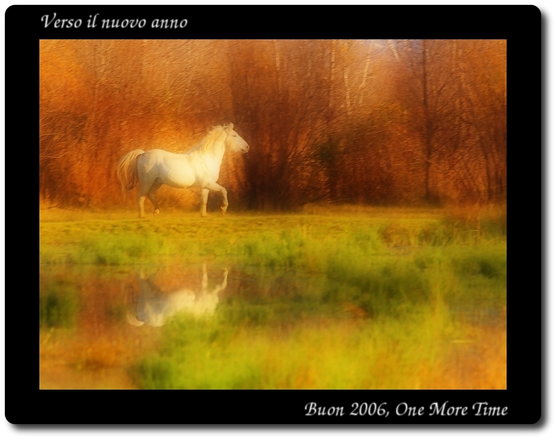 Verso il nuovo anno
