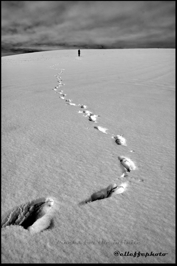 tracks-for-the-infinite...