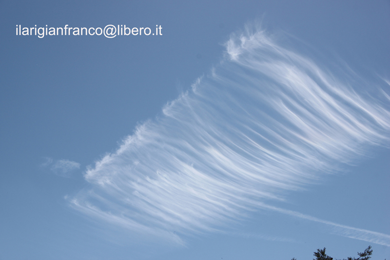 CODICE A BARRE DEL CIELO