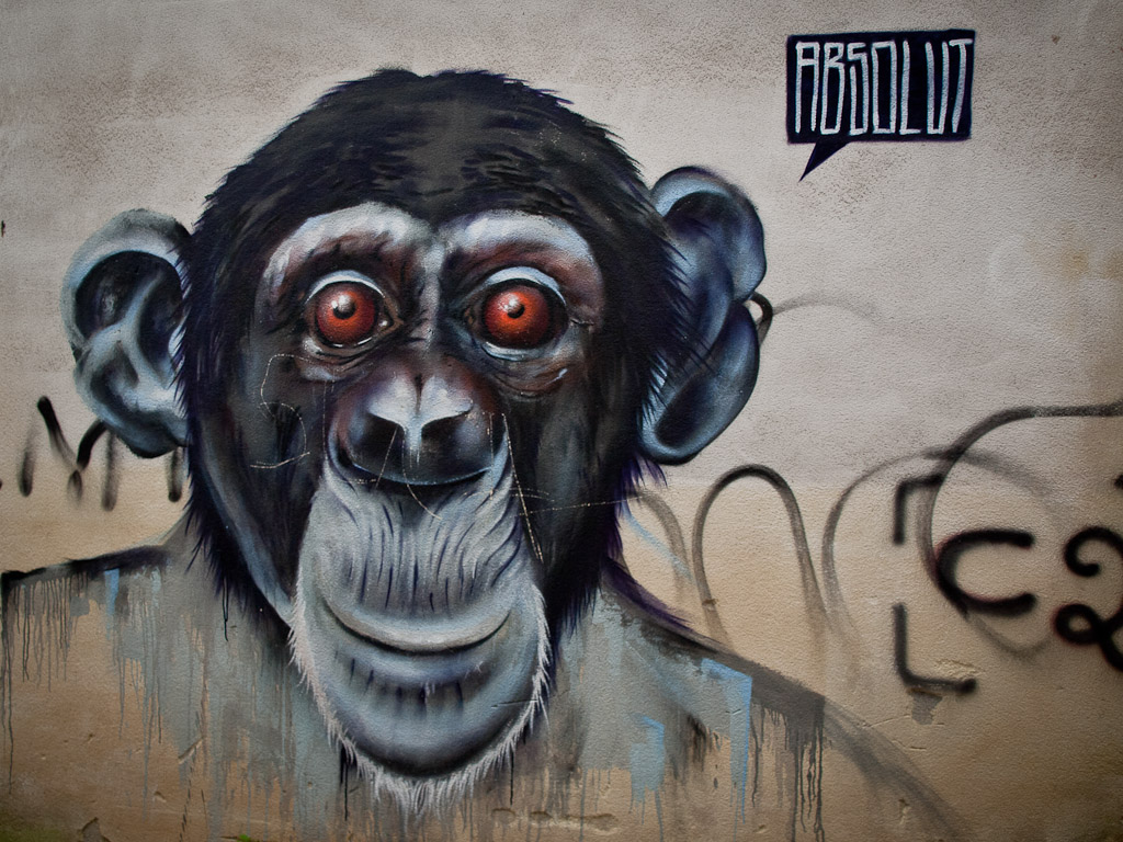 Cairate Decay - Graffiti