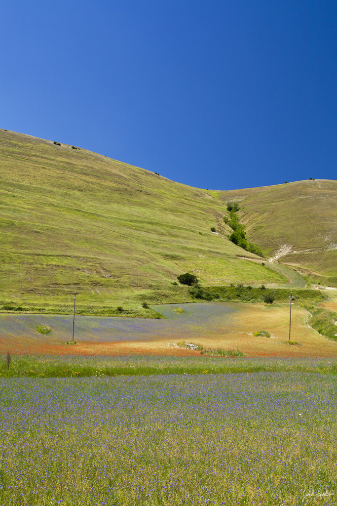 castelluccio #8