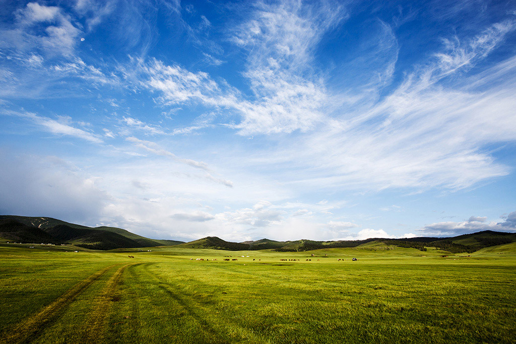 mongolia 2012 paesaggio 2