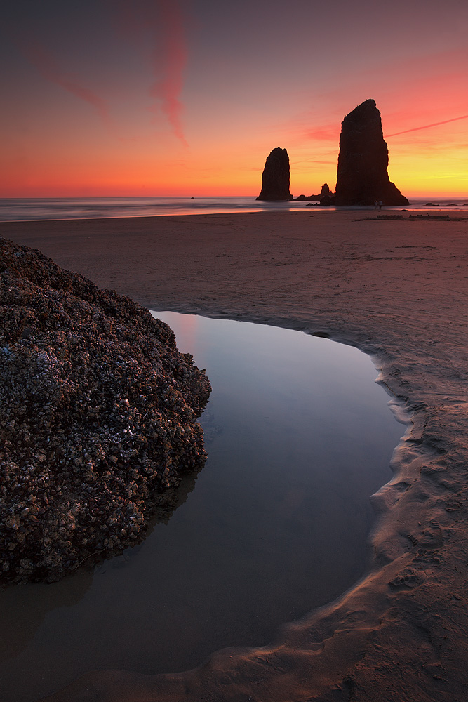 Cannon Beach