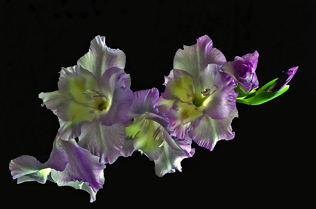 Forme, luci, colore.