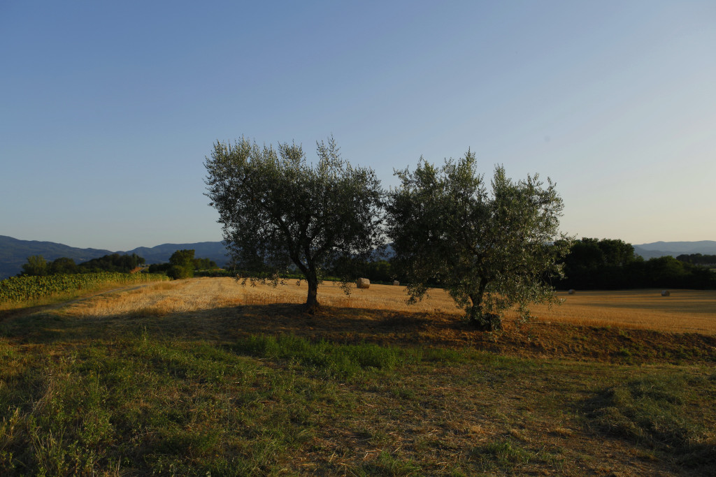 invecchiare  in solitudine