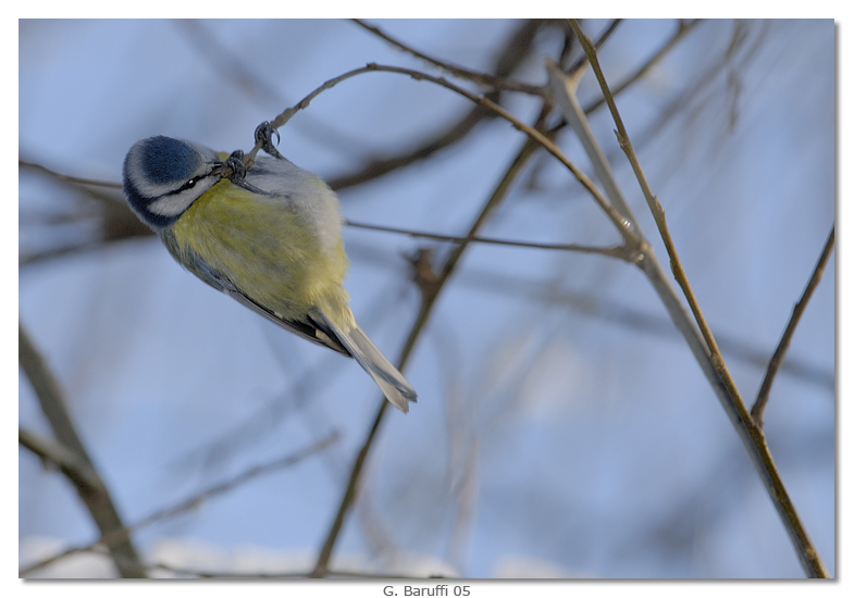 Ultimi sforzi, ancora due sollevamenti dai, poi BuonaNotte ;-)