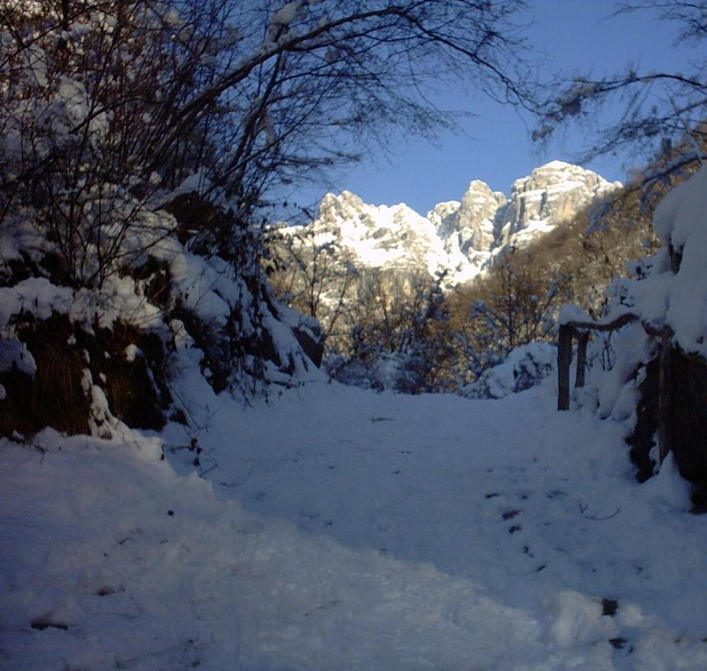 30dic05 (-10 c�): da Erve (LC) verso il Resegone