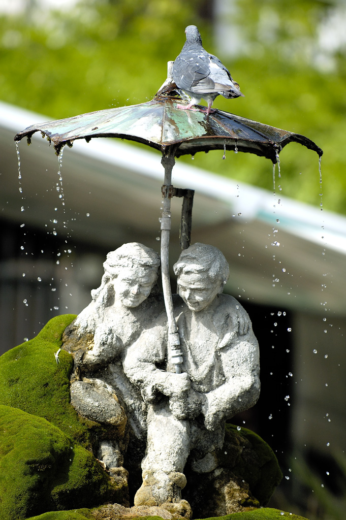 fontana amalfi 09-09-05.jpg