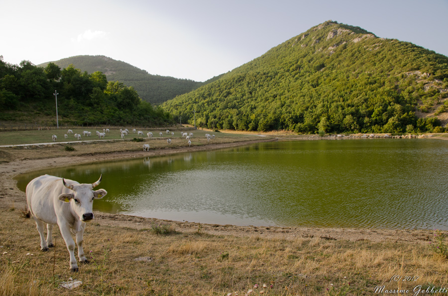 cosa hai da scattare?