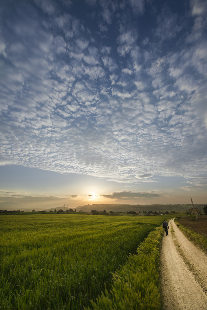 La vie de li Scarpett