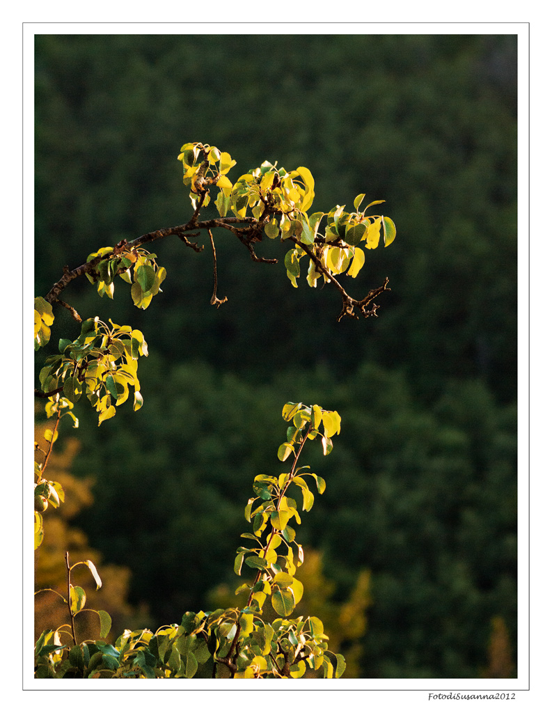 Ritagliato dalla luce...