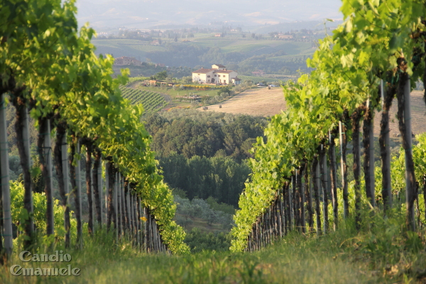 Casale San Gimignano