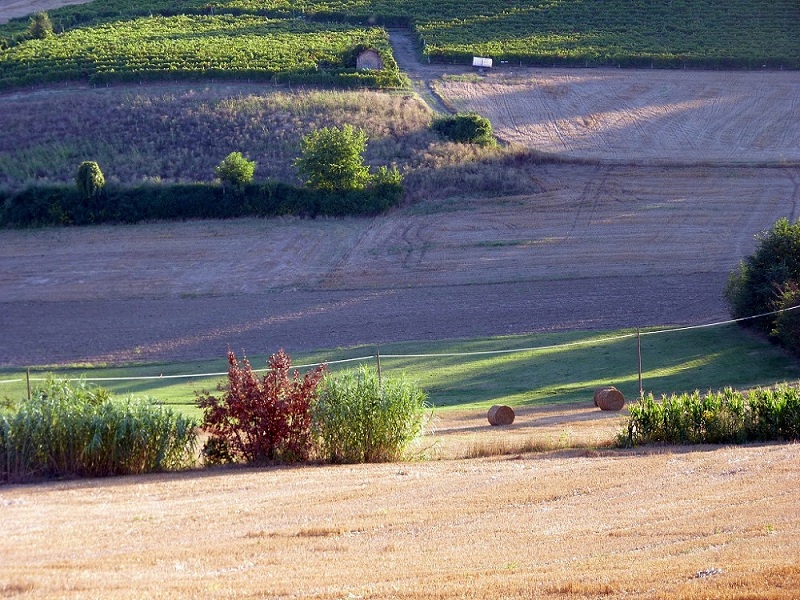 Prima del tramonto tenui colori