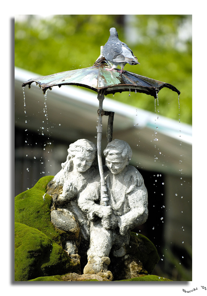 fontana-amalfi + cornice